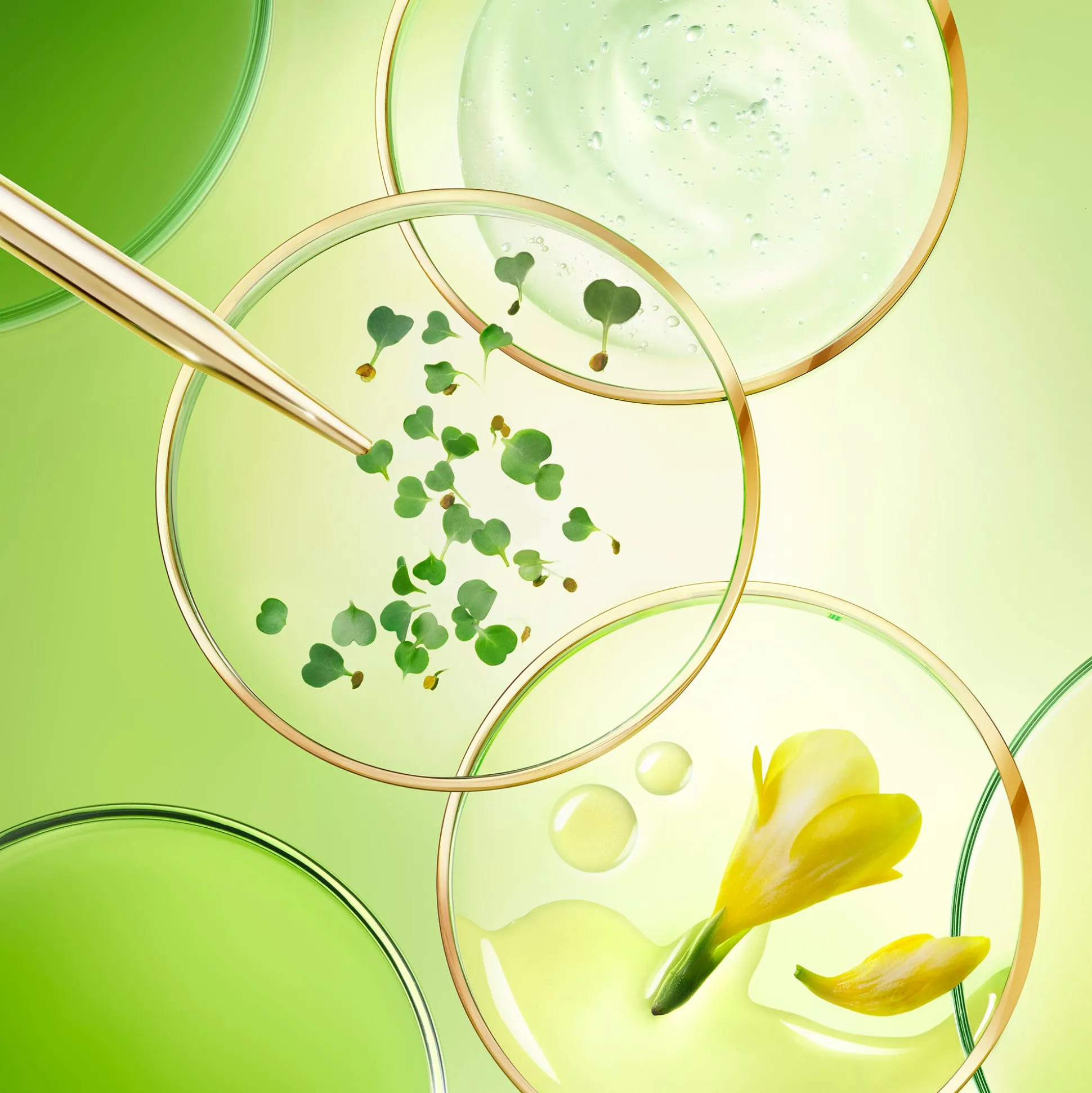 Crema Da Giorno | Trattamento Anti-Età^NUXE COFANETTO ANTI-ETÀ GLOBALE TUTTI I TIPI DI PELLE, Nuxuriance Ultra Alfa [3R]