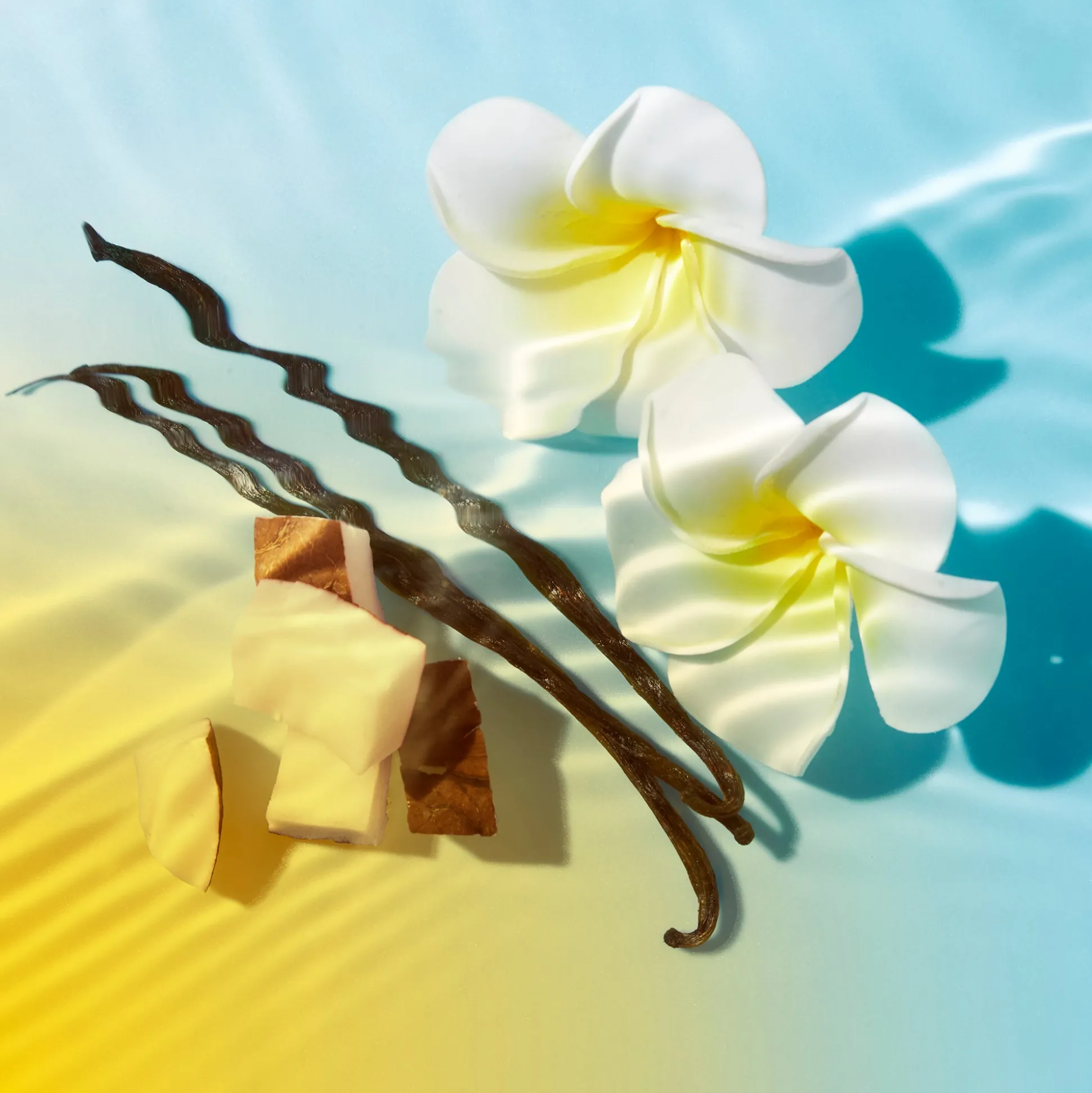 Protezione Solare | Crema Da Giorno^NUXE Duo Crema solare fondente ad alta protezione SPF50 per viso e fresco Latte solare per viso e corpo 50ml in omaggio